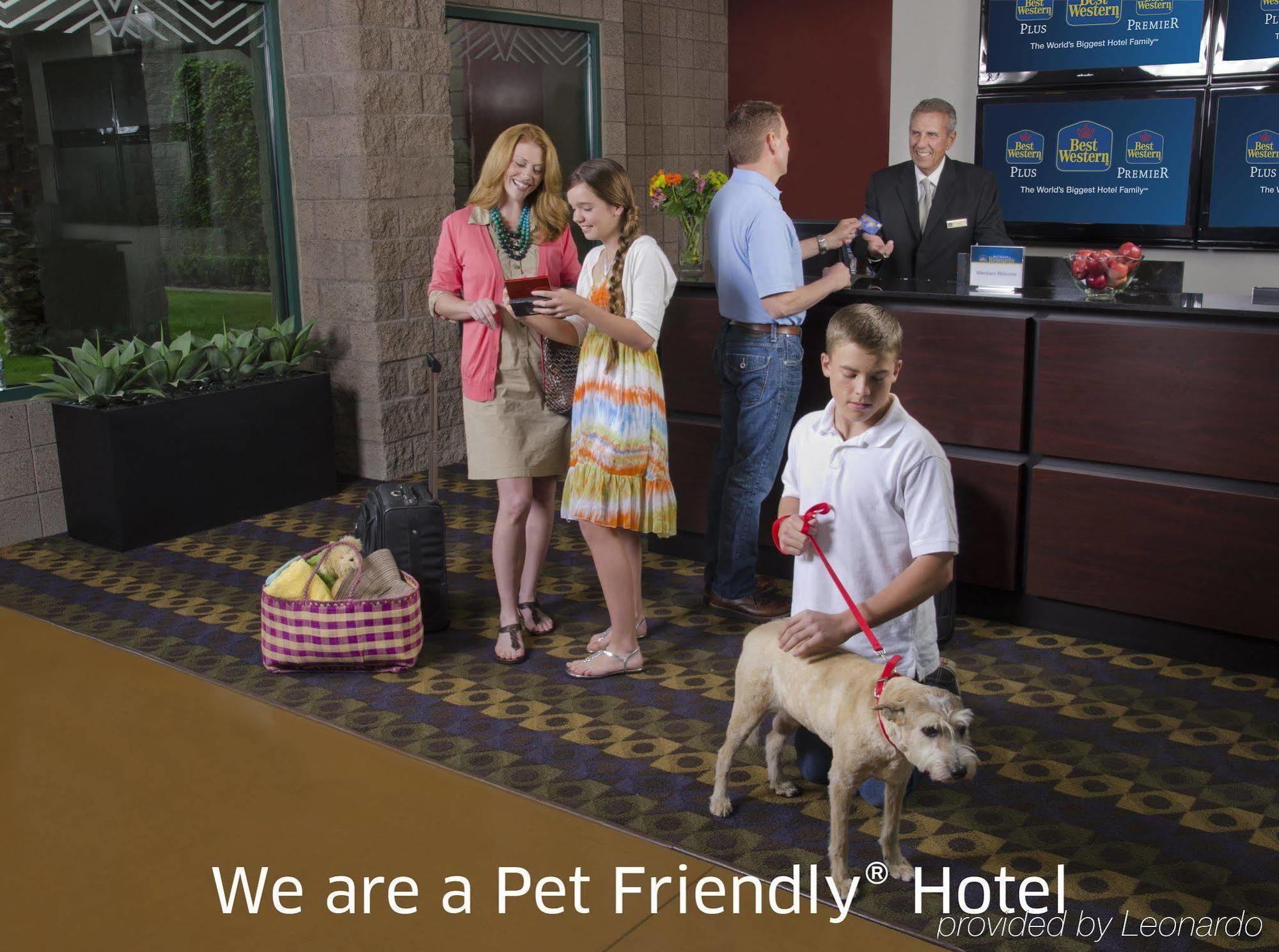 סולדוטנה Best Western King Salmon Inn מראה חיצוני תמונה